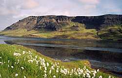 B�gif�tsh�f�i